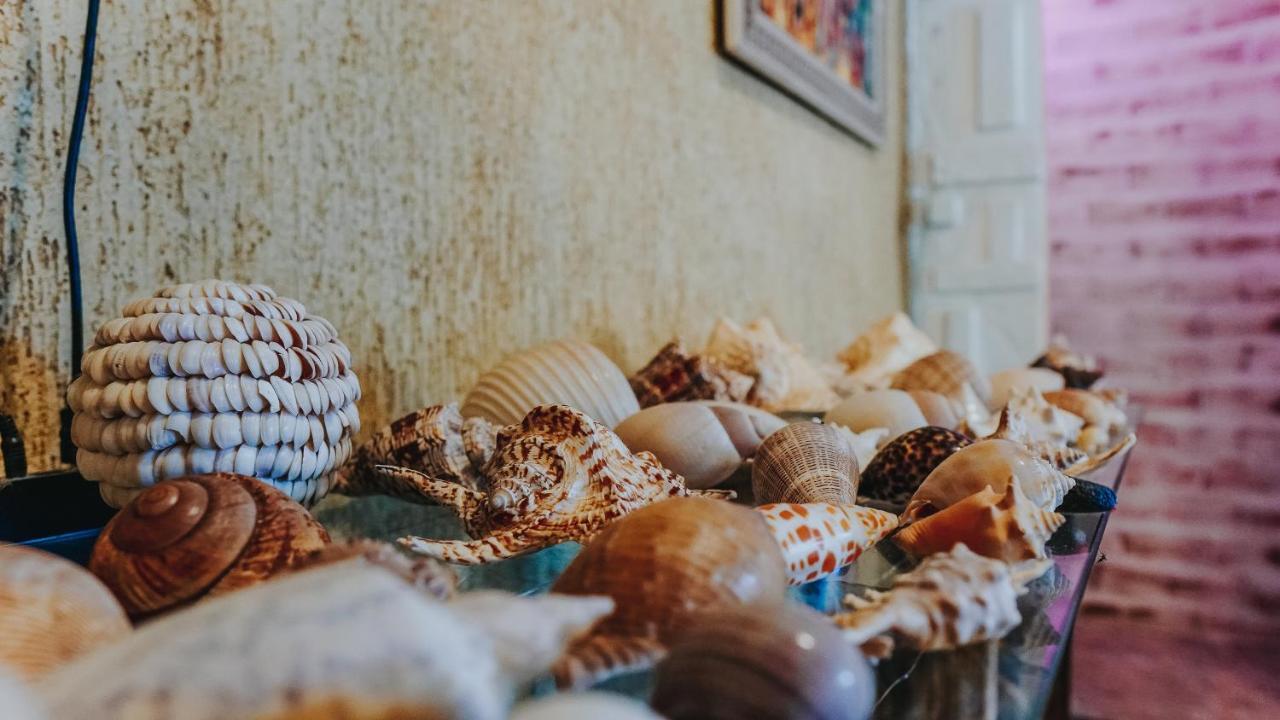 Hostel Paraiso Арраял-ду-Кабу Экстерьер фото